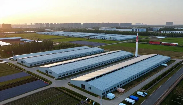 应用开发中地区差异对系统稳定性的影响与应对策略
